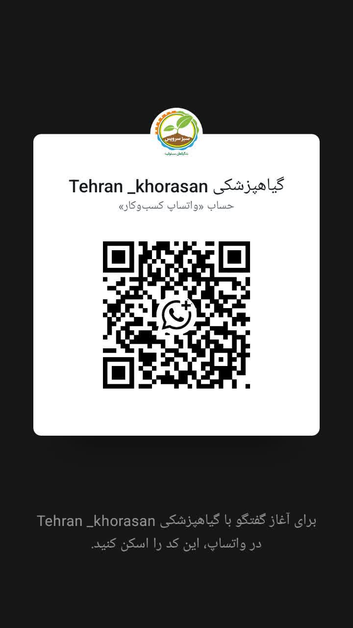 واتساپ