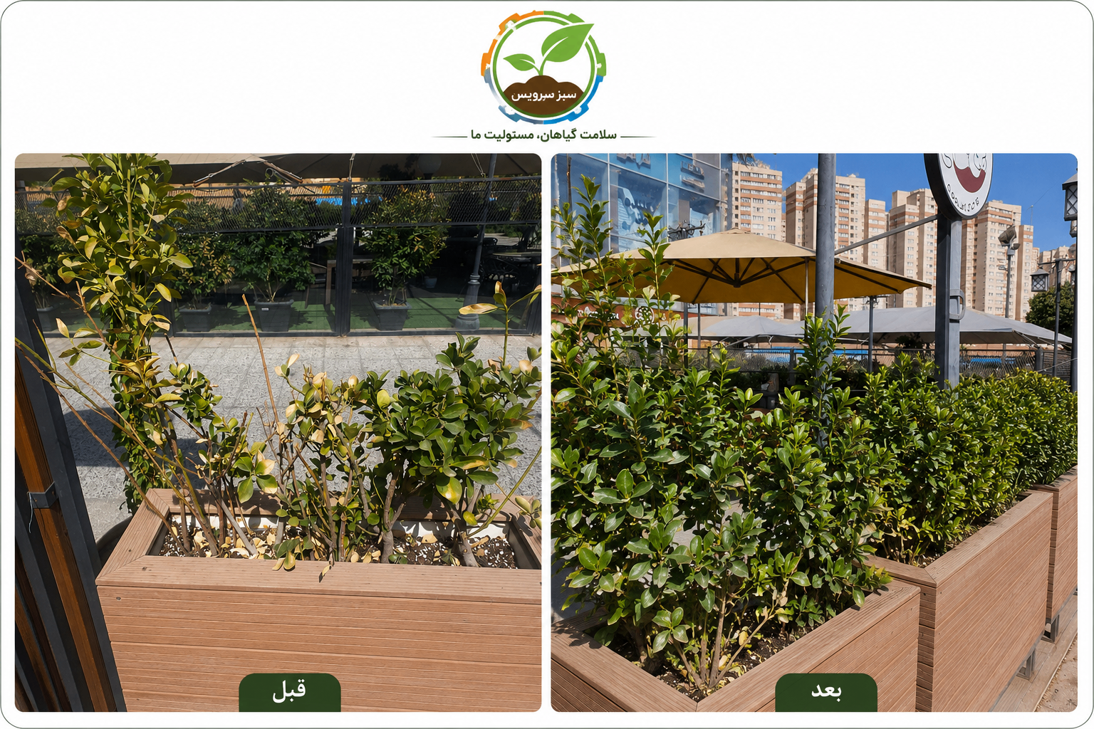 ehya-shemshad-cafe-before-after.webp