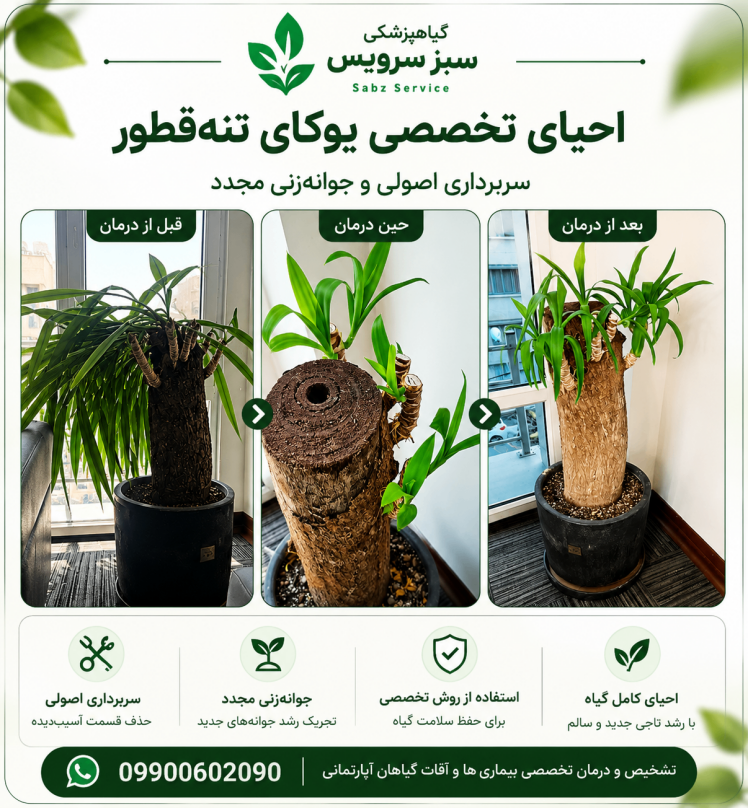 احیای تخصصی یوکای تنه‌قطور – تهران