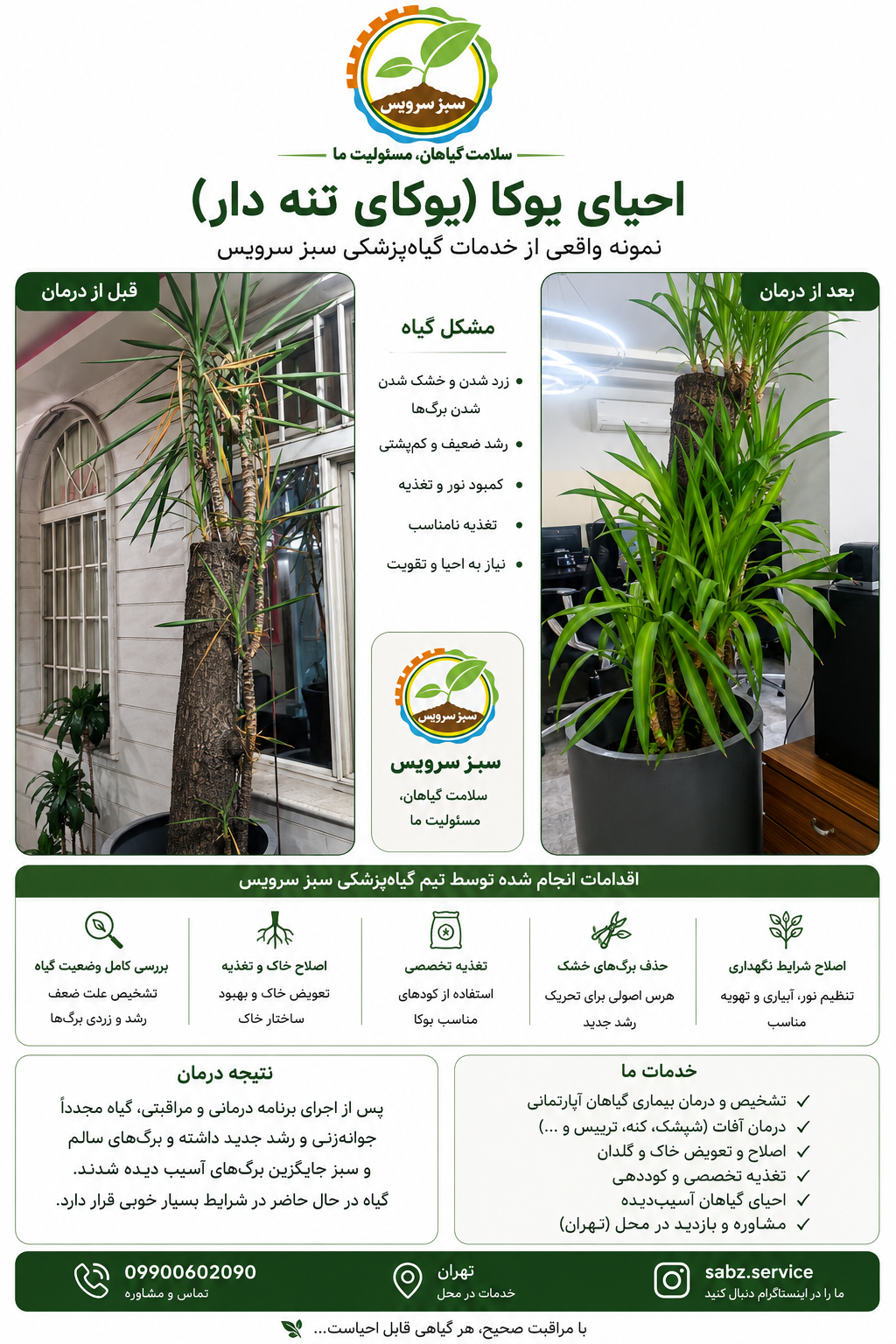 yucca-restoration-before-after.webp