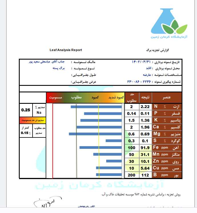 ازمایش برگ دوم